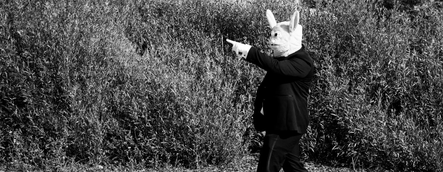 Man dressed as a rabbit