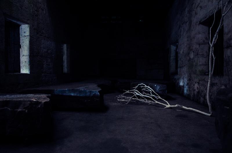 An image of a dark room with contrasting white branches 