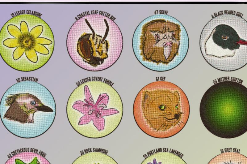 A bingo card with animals and plants