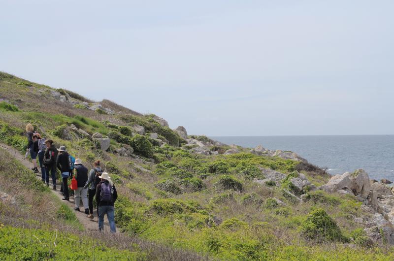 A group of people walking up a hill